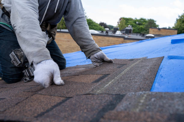 Best Storm Damage Roof Repair  in Carbondale, IL