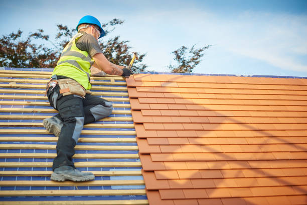 Best Emergency Roof Repair Services  in Carbondale, IL